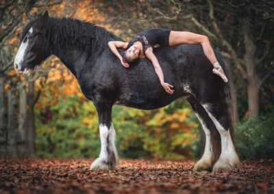 Nicole Ferdinand - Pferdefotografie