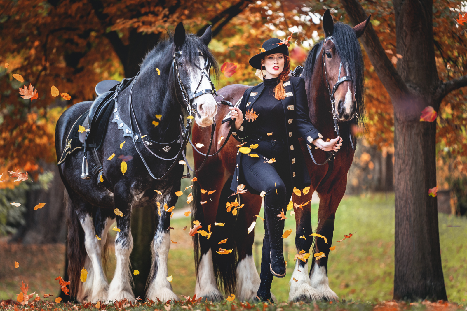 Two_Horses_Autumn