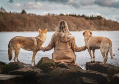 Nicole Ferdinand - Hundefotografie