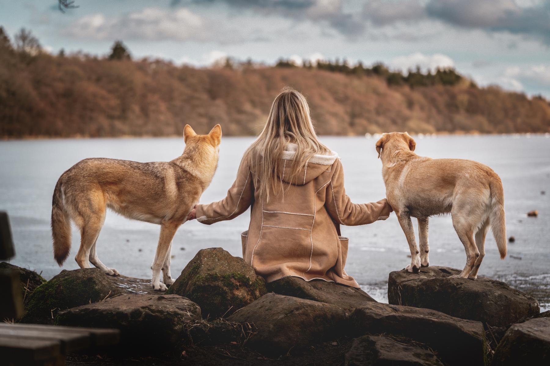 Two_Dogs_Near_Lake