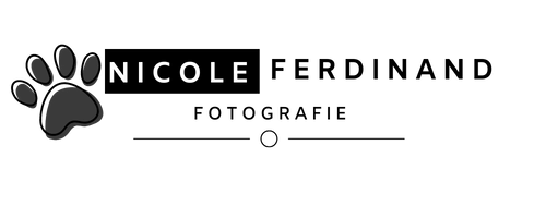 Logo Fotografie Ferdinand
